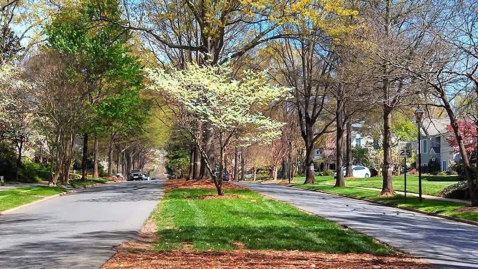 The neighborhood is famous for its vibrant spring blooms and peaceful, winding roads.