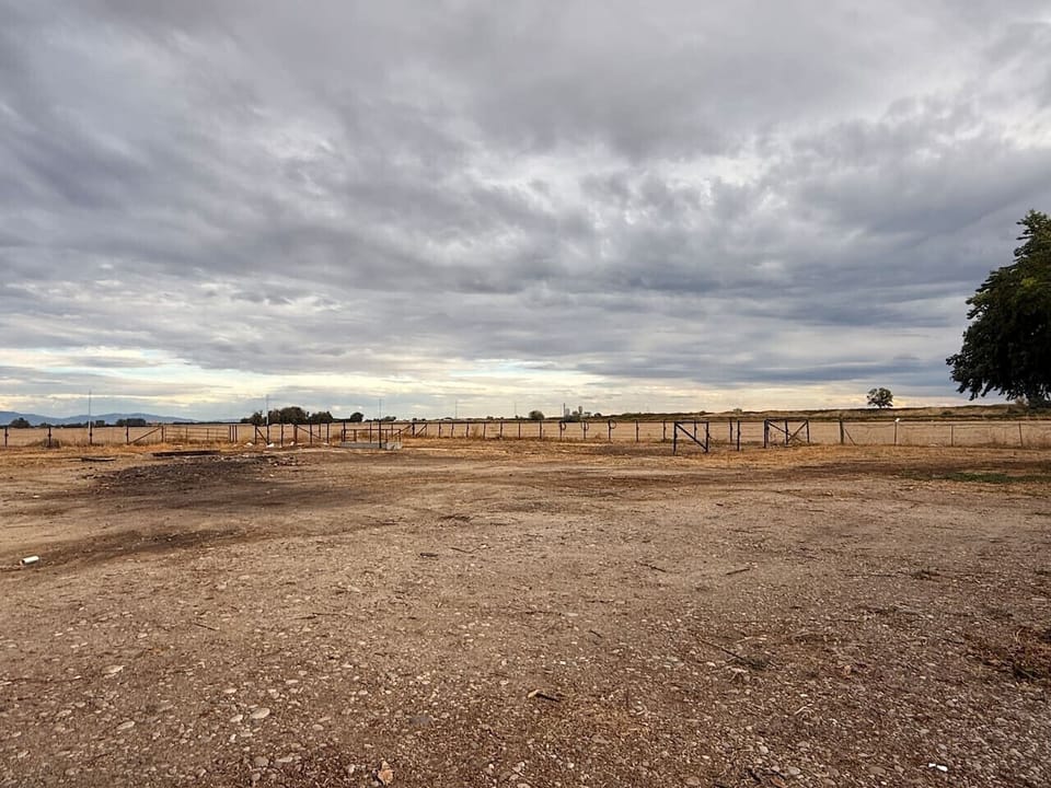 field