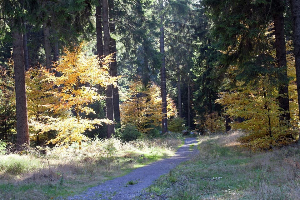 Immediate Surroundings [summer] (<1 km)