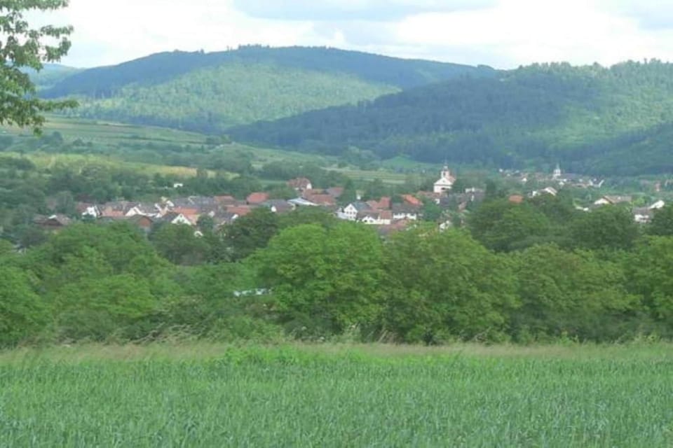 Surroundings [summer] (1-5 km)