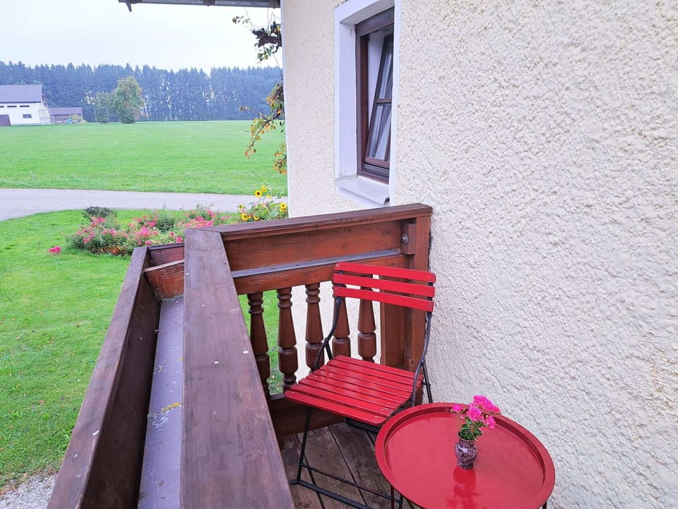 Wood, Outdoor Furniture, Wood Stain, Hardwood, Balcony, Houseplant, Flowerpot, Plank