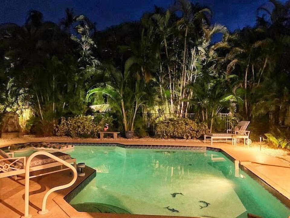 Poolside - Enjoy the beautiful lighted pool area after the sun has set over the Gulf