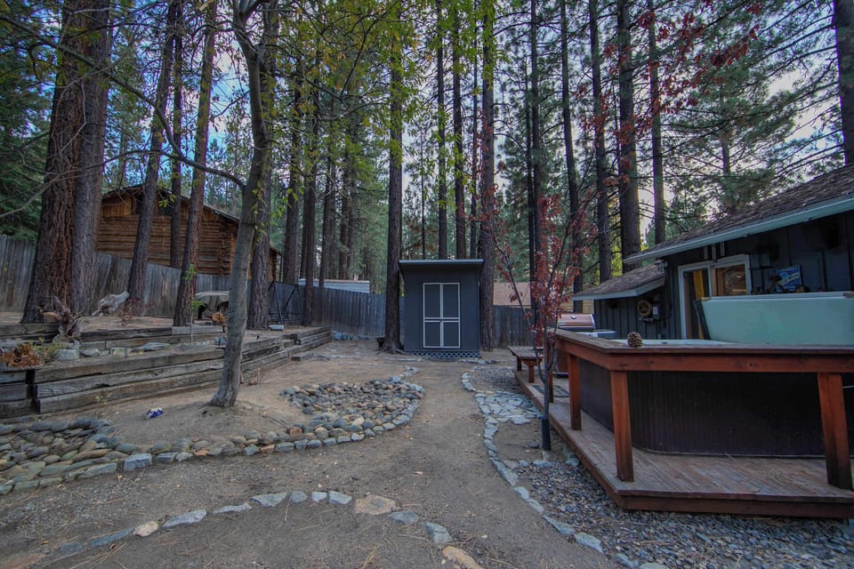 Backyard paradise—hot tub, BBQ, and pine tree views! 