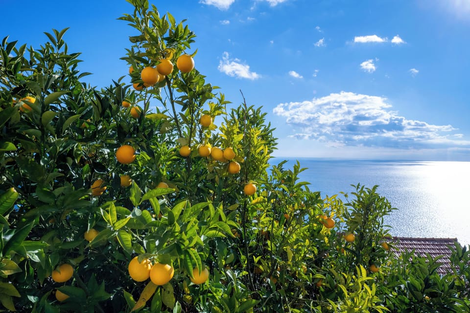 Classic Double Room, Balcony, Sea View | Balcony view
