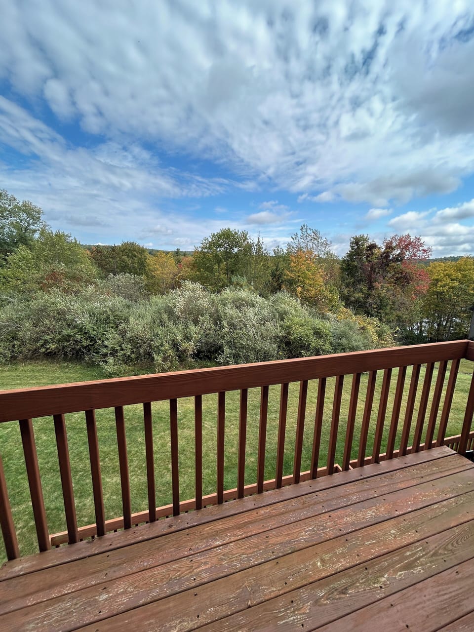 Back deck