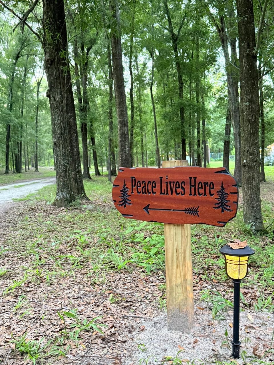 Follow the sign - where peace truly lives among the whispering trees.