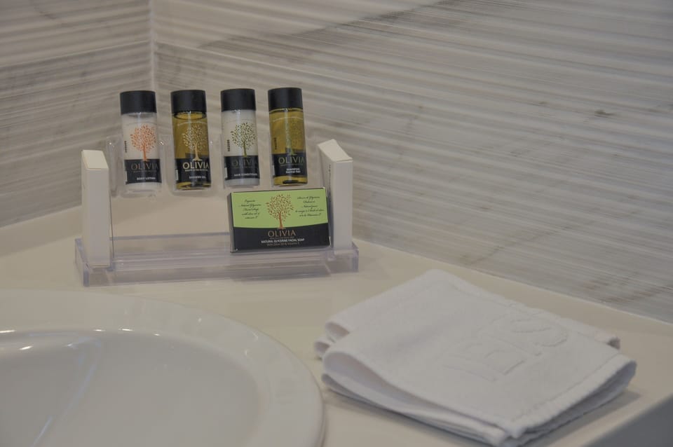 Shower, free toiletries, hair dryer, towels