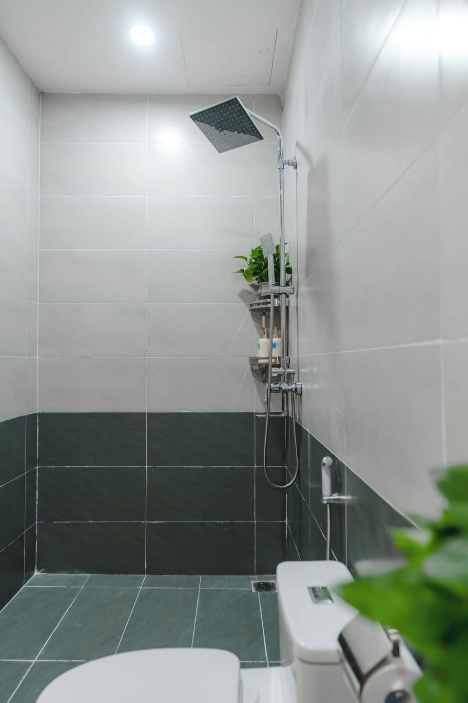 Soap, shampoo, toilet paper