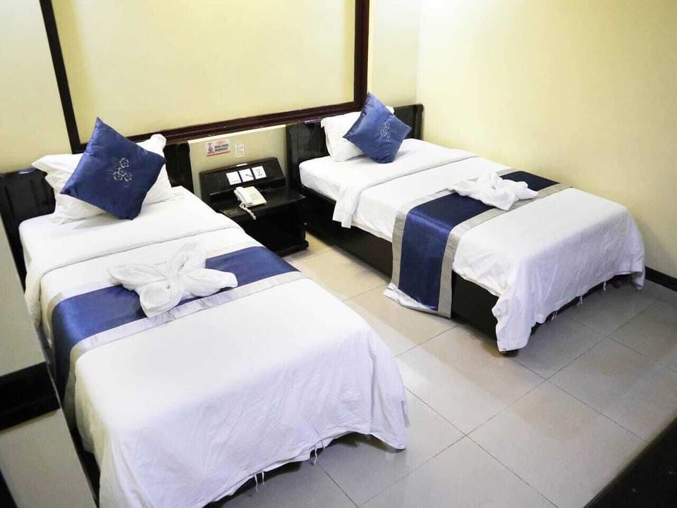 Deluxe Double or Twin Room, City View | Desk, free WiFi