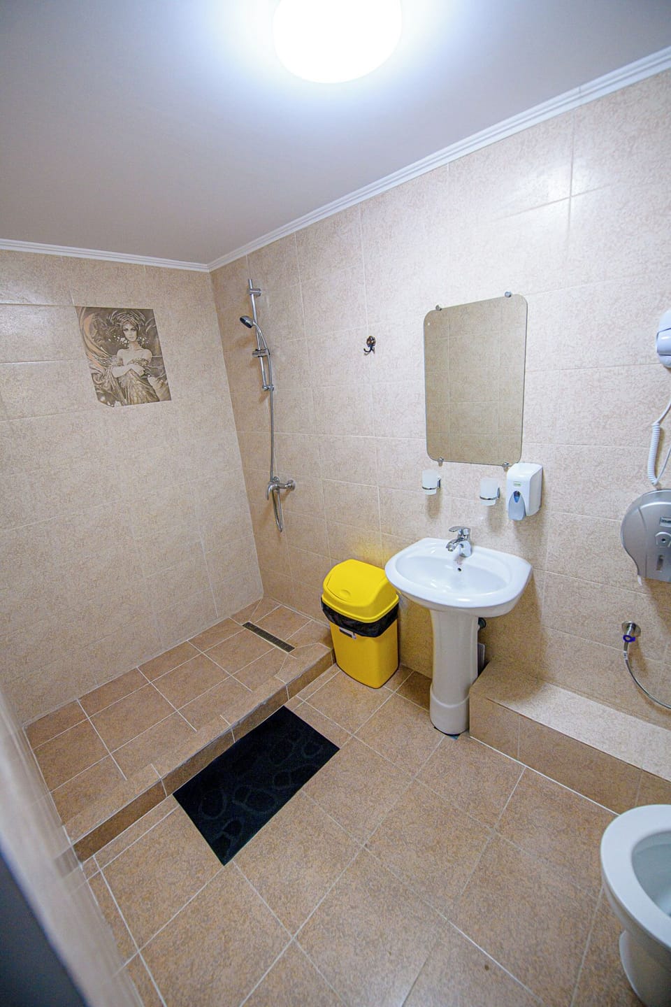 Triple Room | Bathroom | Free toiletries, hair dryer, towels, shampoo