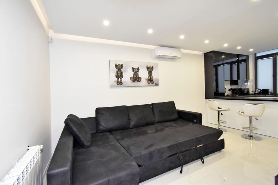 Classic Apartment | Living area | 50-inch flat-screen TV with cable channels