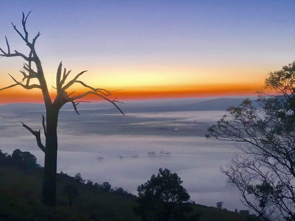 Hike the hill and on a clear day, see Telstra Tower on Black Mountain, Canberra