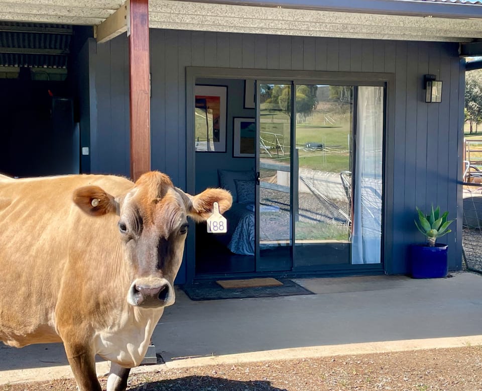 Belle, the butler to welcome you on arrival.. don't expect too much help!!
