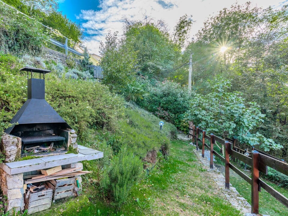 Vegetation, Shrub, Plant Community, Garden, Landscaping, Backyard, Botanical Garden, Eco Hotel