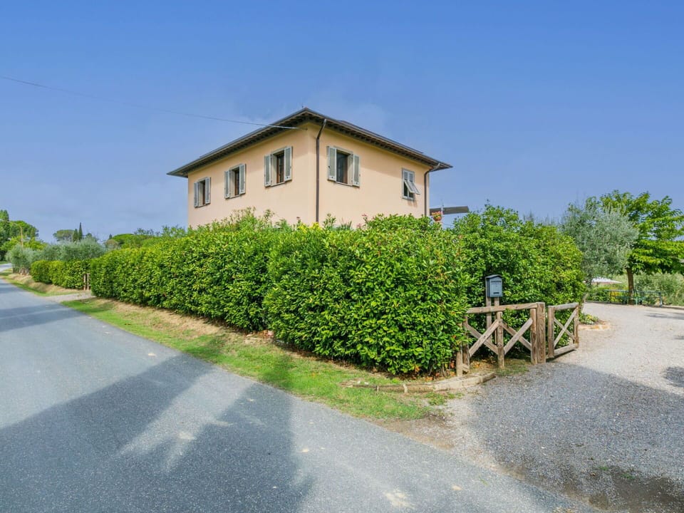 Shrub, Hedge, Garden, Plantation, Fence, Walkway