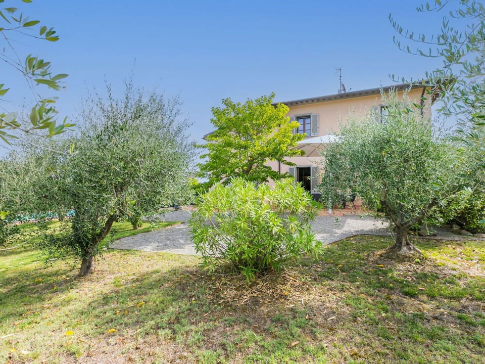Shrub, Garden, Spring, Estate, Landscaping, Yard, Lawn, Backyard, Farmhouse, Villa