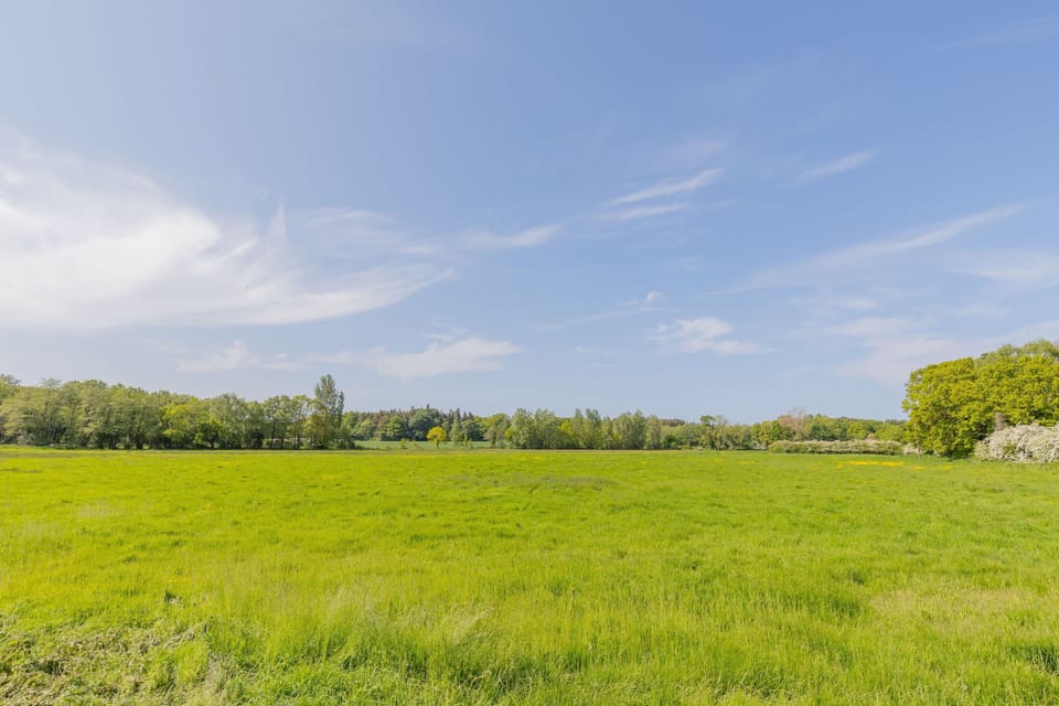 Snipe Meadow Barn, Suffield: Open countryside views