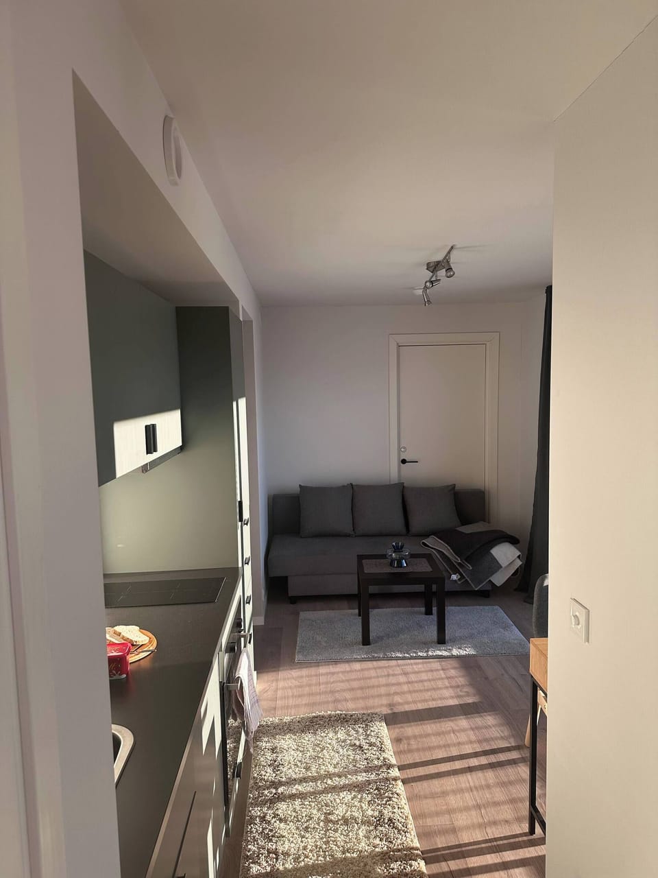 Apartment, 1 Bedroom, Balcony, Garden View | Living room