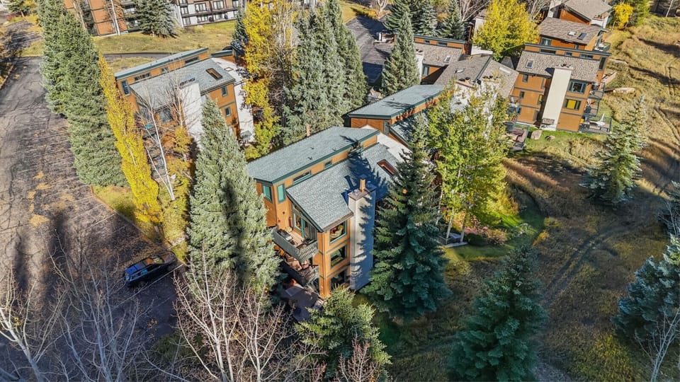 Surrounded by forest with spectacular views