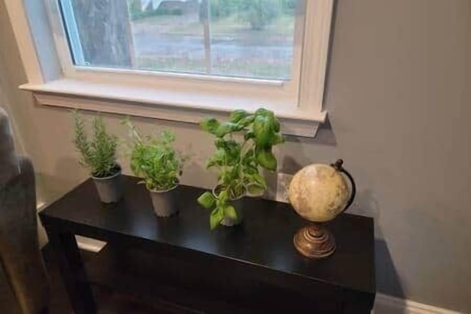 Ask about fresh potted herbs