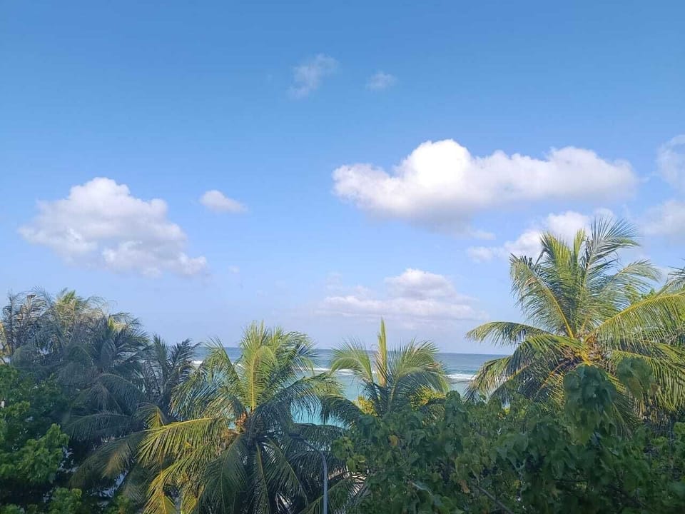 Land view from property