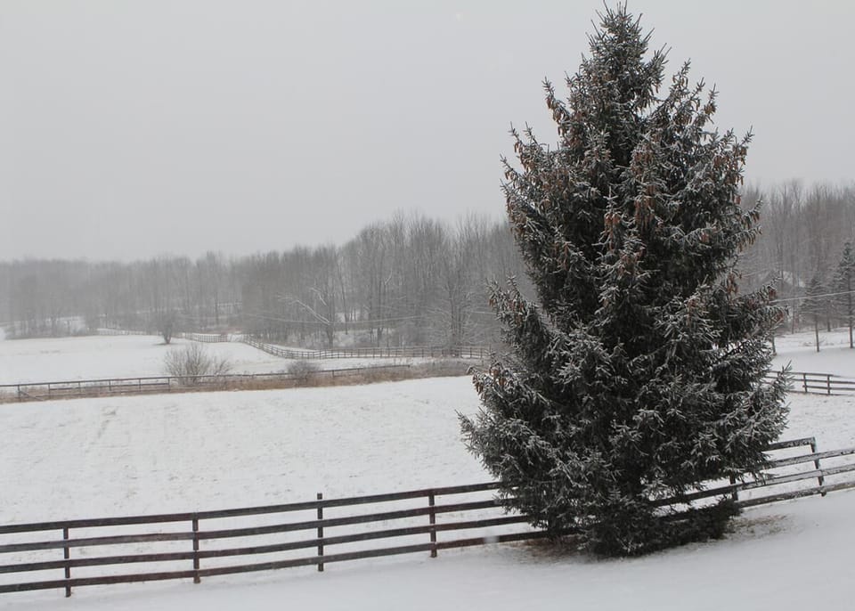 Peaceful snowy view from cozy living room window