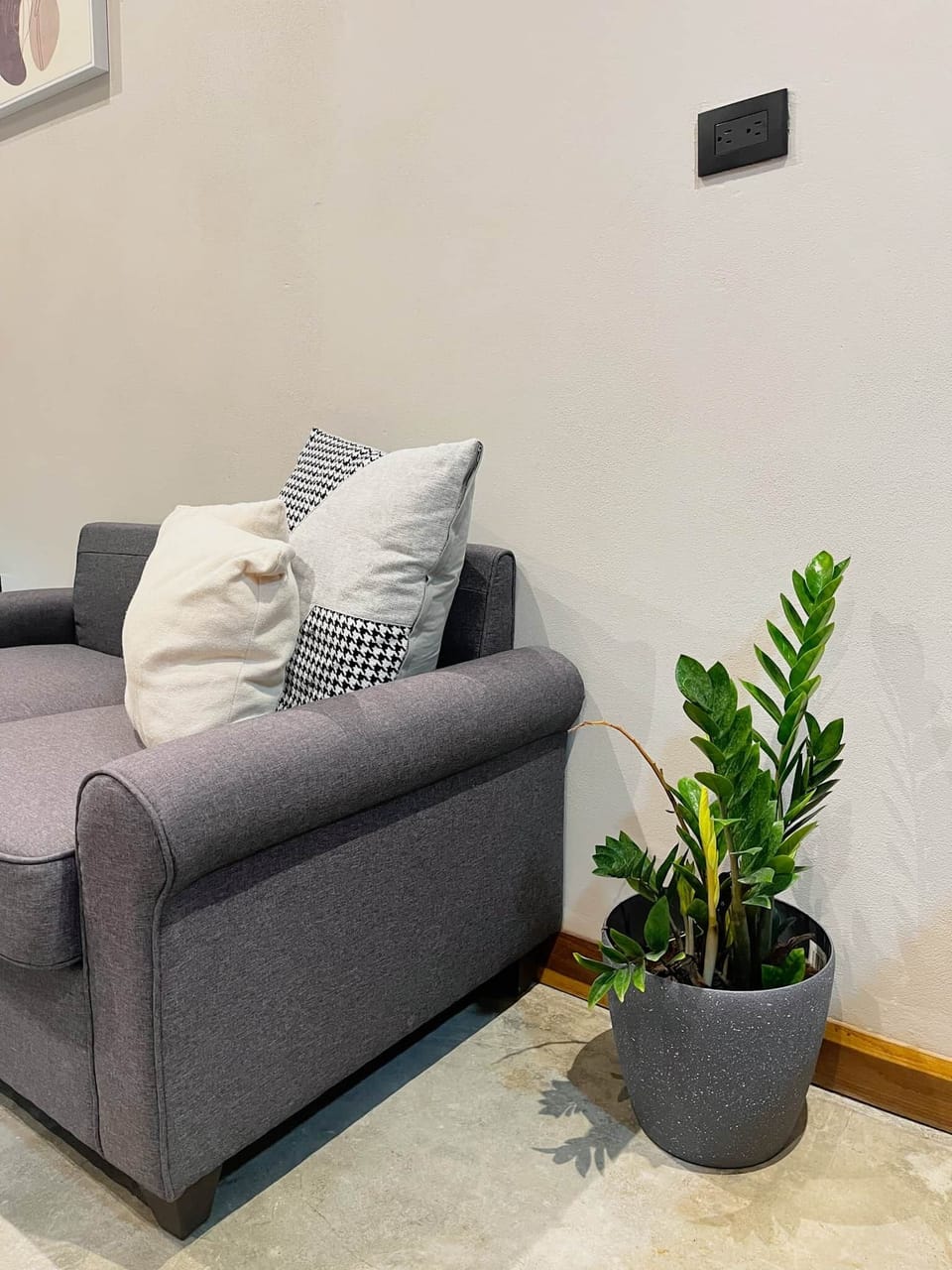 Cattleya living object 3