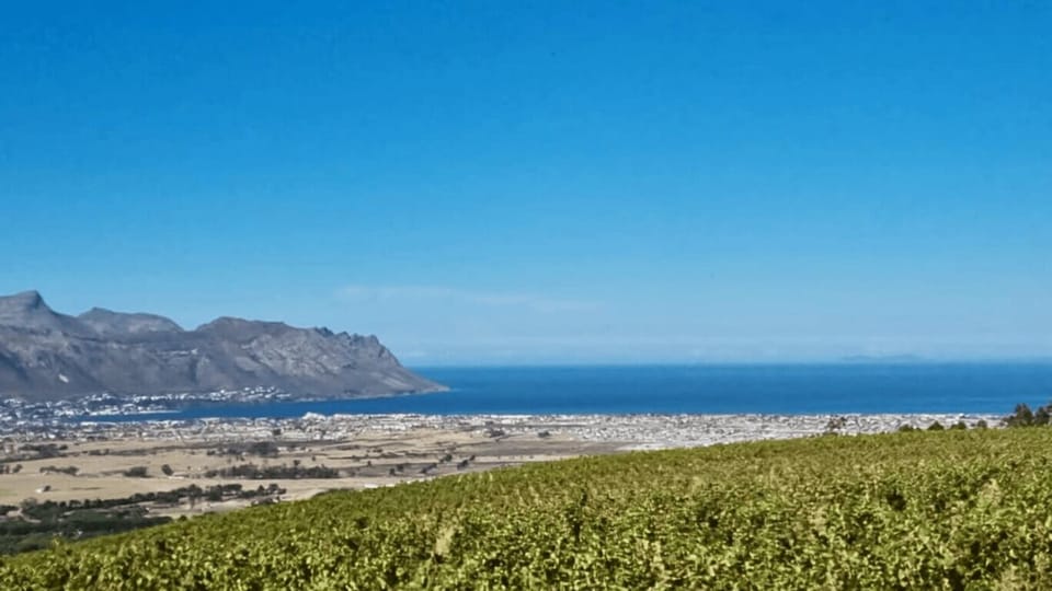 Luxury House, Vineyard View | Interior