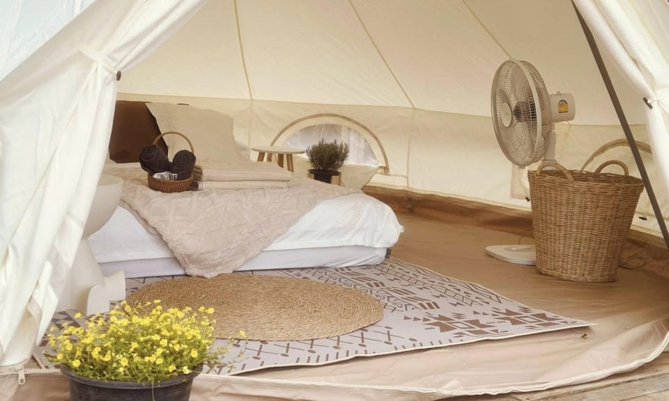 Safari Camp