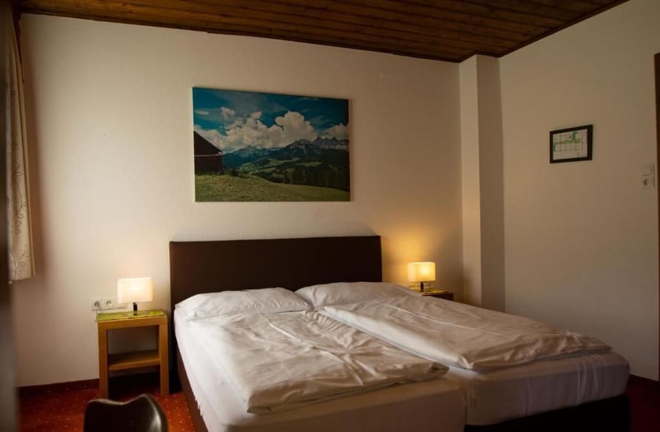 Basic Double Room, Mountain View | Desk, free WiFi