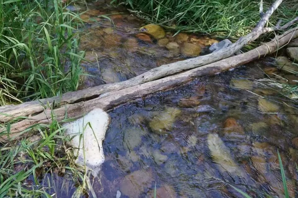 Tonto Creek, across the lane