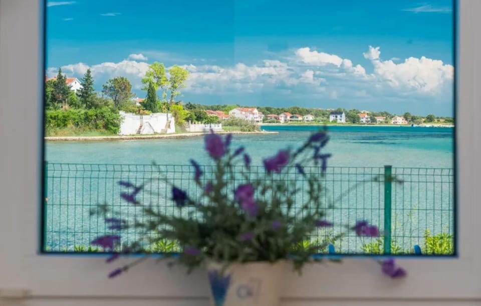 view-from-room
