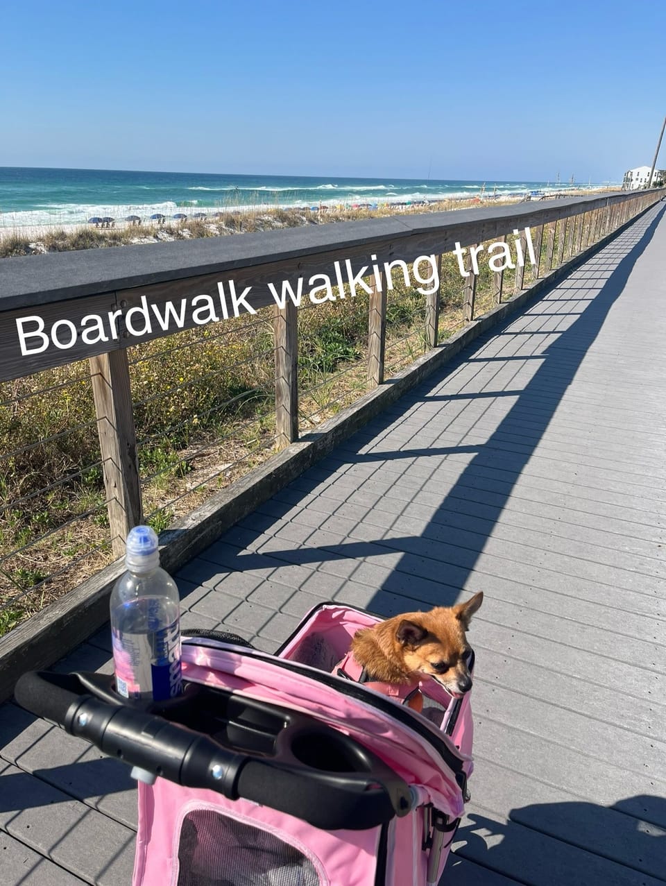 Boardwalk walking trail, smooth enough for a stroller...no bumpy rides here!