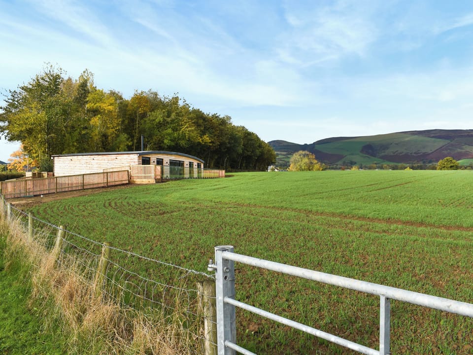 Setting | Acre Luxury Lodges-Cedar Lodge, Walton Presteigne