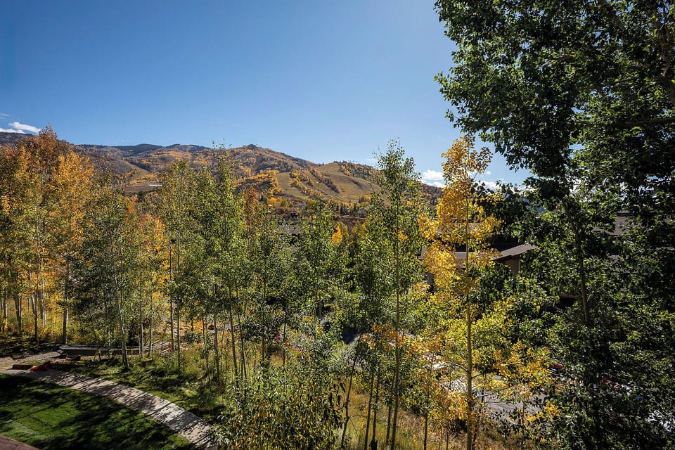 Breathtaking mountain views showcase vibrant autumn foliage across rolling hills and distant peaks under clear blue skies.