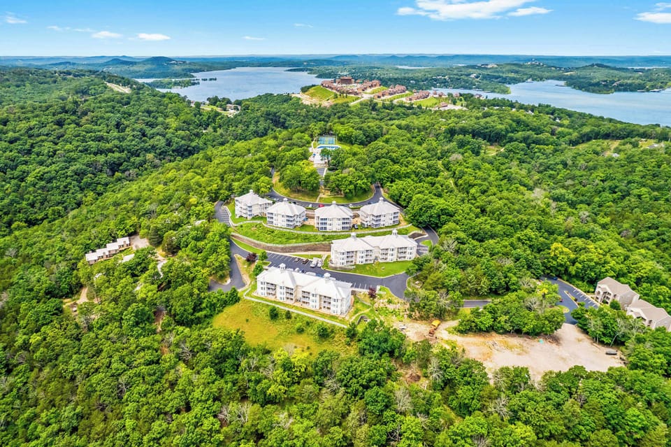 Aerial View​