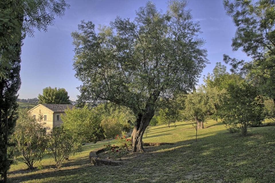 House | 2 bedrooms, Internet