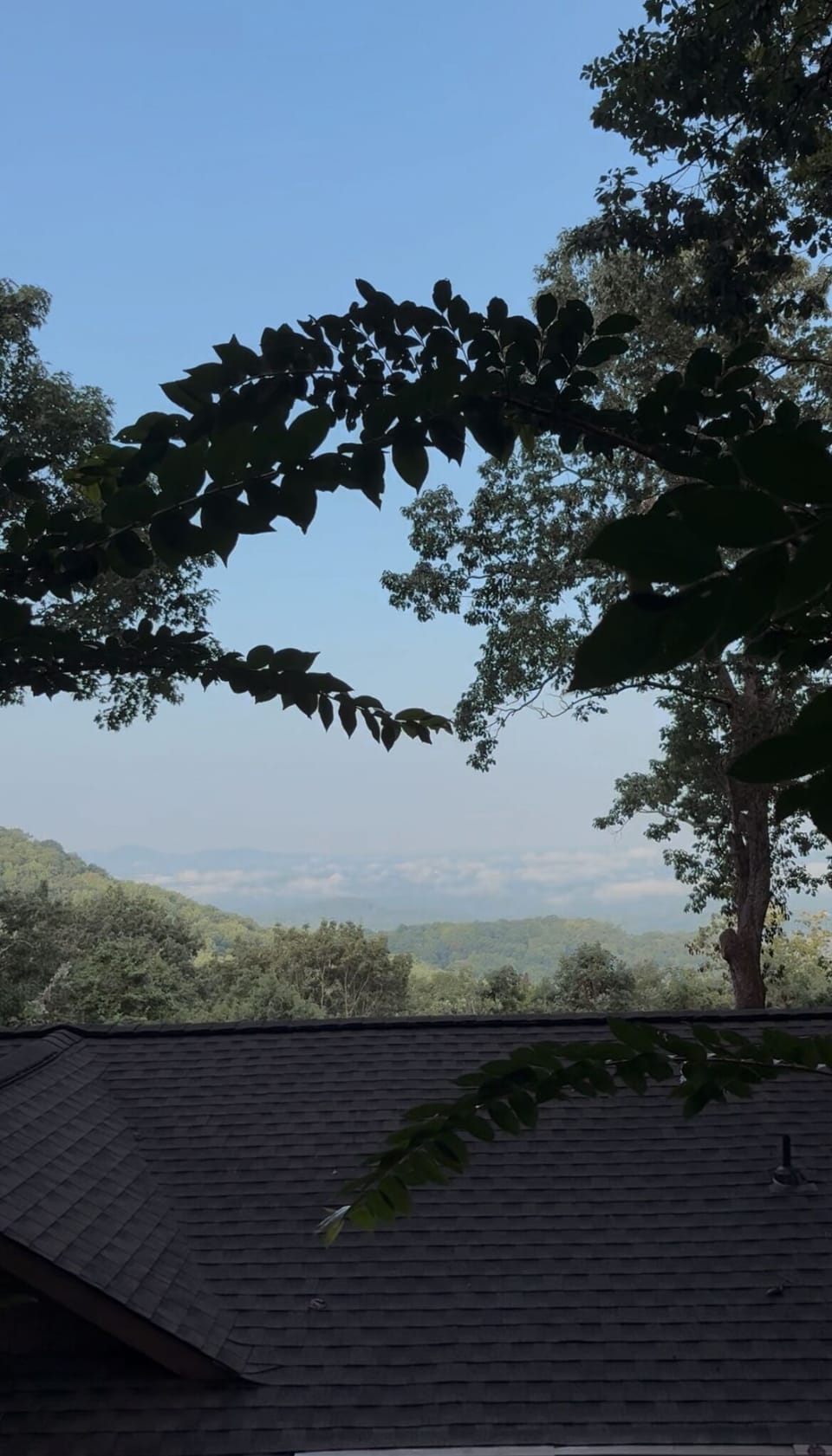View from property