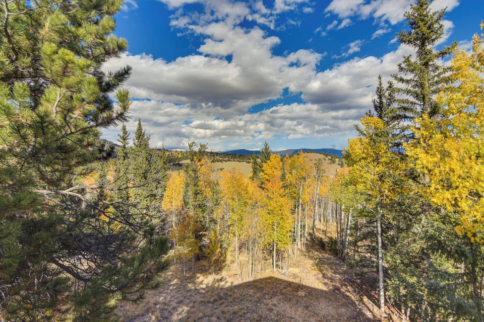 Mountain & Forest Views