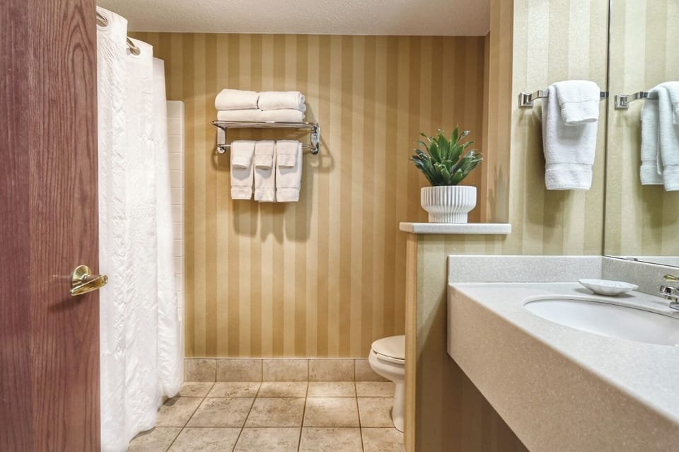 Refresh easily in a spotless bath with fluffy towels.