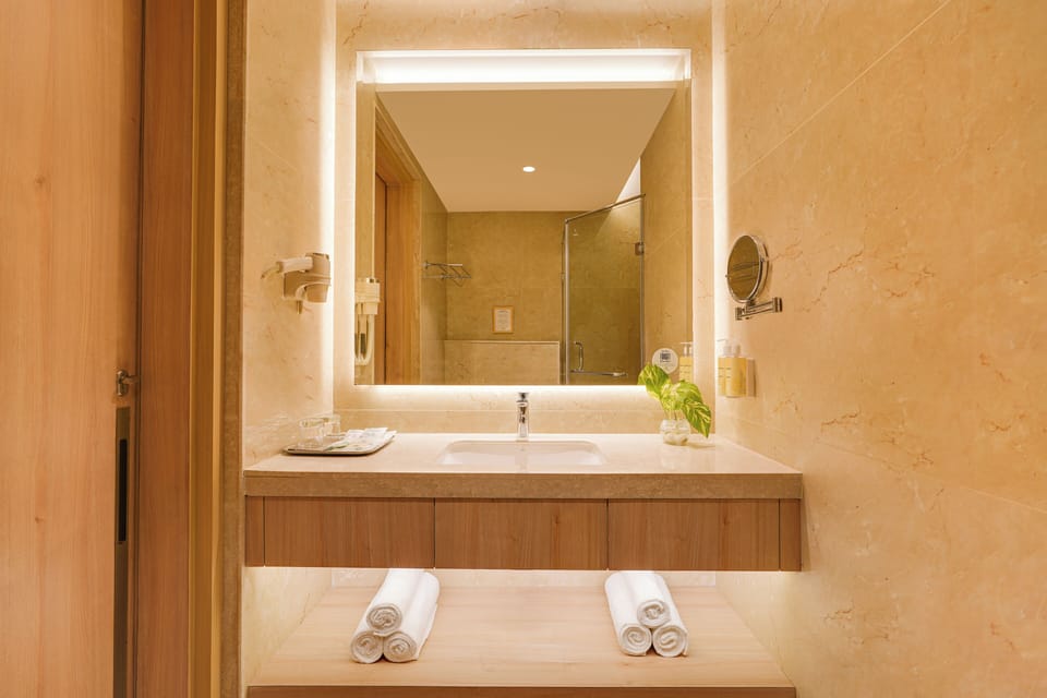 Deluxe Suite | Bathroom