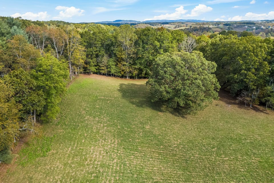 Open pasture with mature shade tree