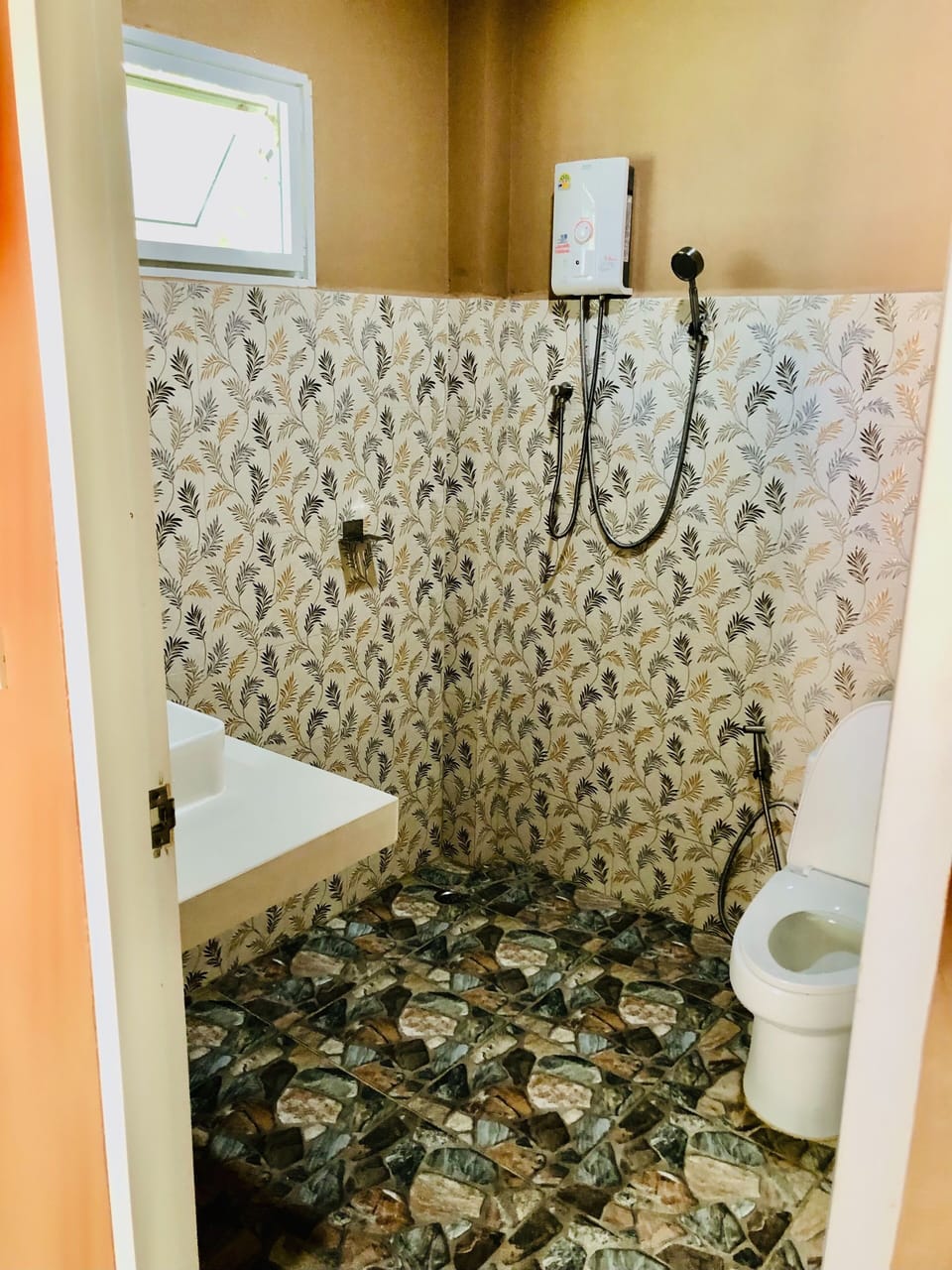 Shower, soap, toilet paper