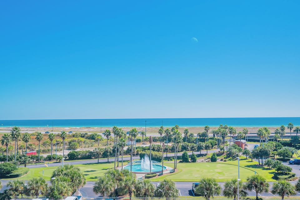 Vibrant views of the coastline and lush palm trees from this serene outdoor vantage point