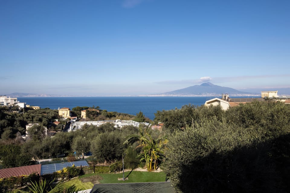 Deluxe Room | Terrace/patio