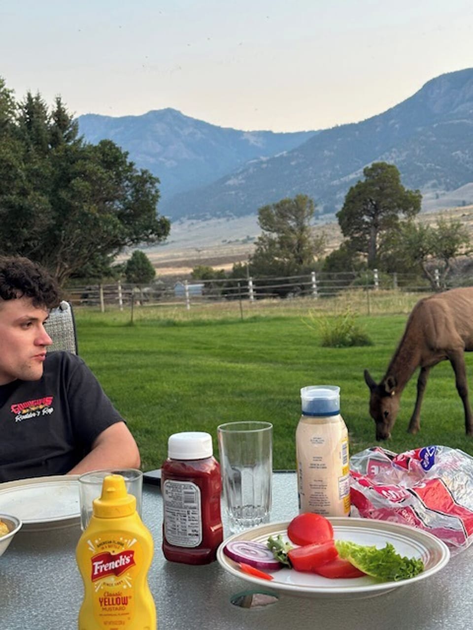 Elk on site. Photo courtesy John Wall, previous guest.