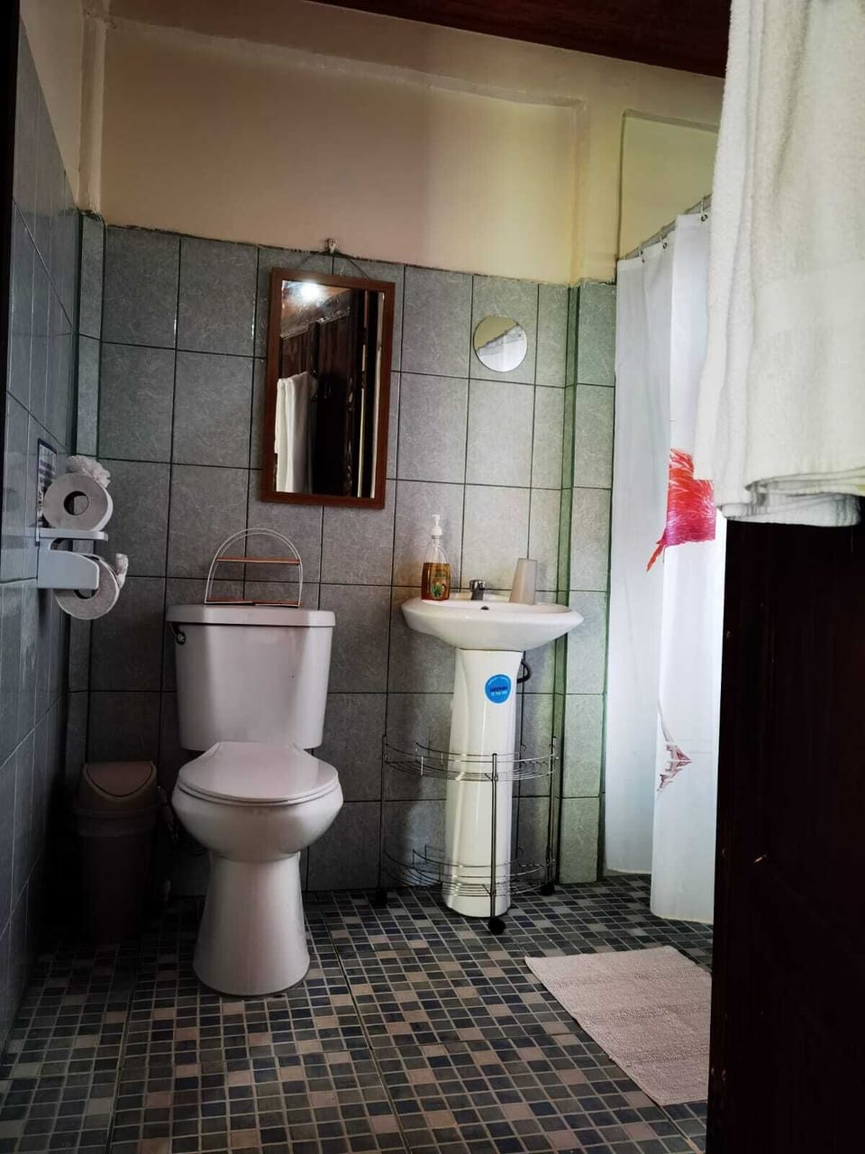 Chinitasecolodge Hotel in Costa Rica