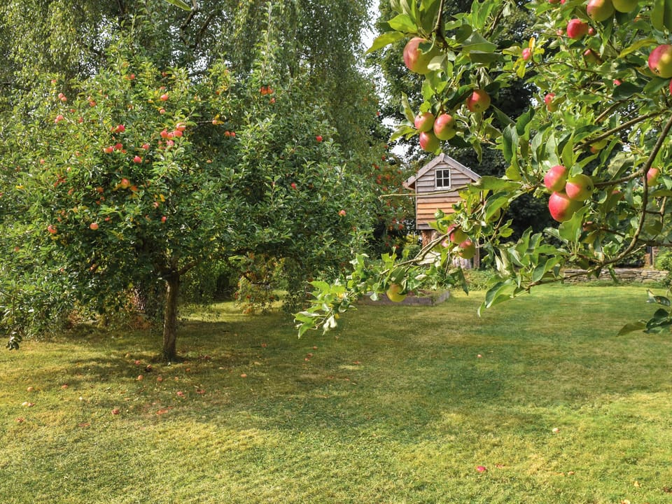 Outdoor | Aeron Villa, Tregaron