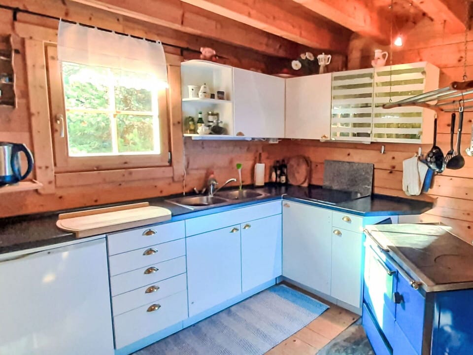 Wood, Kitchen, Countertop, Kitchen Appliance, Cabinetry, Ceiling, Major Appliance, Kitchen Sink, Wood Stain, Sink