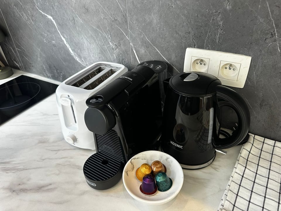 Basic Apartment | Private kitchen | Fridge, microwave, oven, stovetop